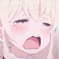 乖乖不在