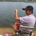 红鯉魚与绿鯉魚