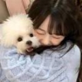 不吃芒果123456