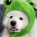 我是你爸爸000