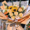 媛er梓