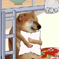 双菜又爱玩