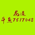 花逼朝上的花逼哥哥