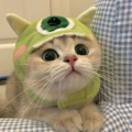 DrI蓝星