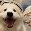 小橙子爱吃拉条子