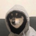 冷幕軒i