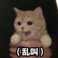 大铂子