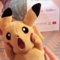 小佳慧呀个人资料