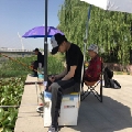 一只小唐尼