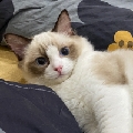 小淞菜菜