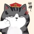 Dream灬佳人