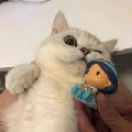 知名网友小KK