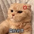 weiguoi