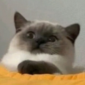 用户45617644