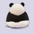 小趴菜兔兔子