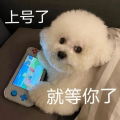 咕嘟挺乖呐