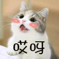 身姿妖娆二掌柜