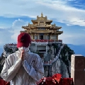 故林落叶荡秋风