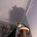 百特漫