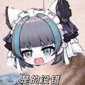 斯卡蒂sss