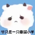 克莱因CC