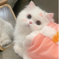 小12丶个人资料
