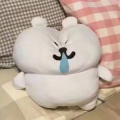 阿斯顿3501