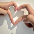 2kol章鱼哥