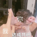 江暮茚