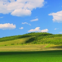 一个人也挺开心叭