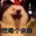 小陈同志的修仙日志