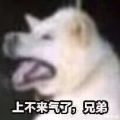 小成之境