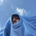 野区小毛驴