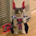 克某丶