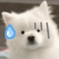 一个不知名的男人1