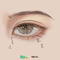 Hua一抹清香拌绿