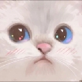 佻兮达兮