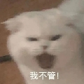 臭屁蛋糕