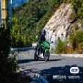 达尔鸡