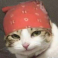 六夜璃猫丷