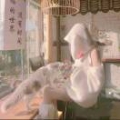 柃澜YoLo