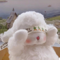 南笙柠木