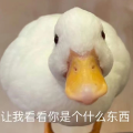 I蓝神I