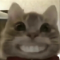 SuiX1ng