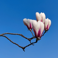 fddm超产昵称测试超长