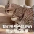 猪奇布衣