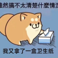 一根猪仙人