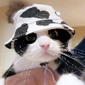 不拉克北鼻