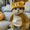 保留ii