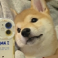 阿东Zzzzzz